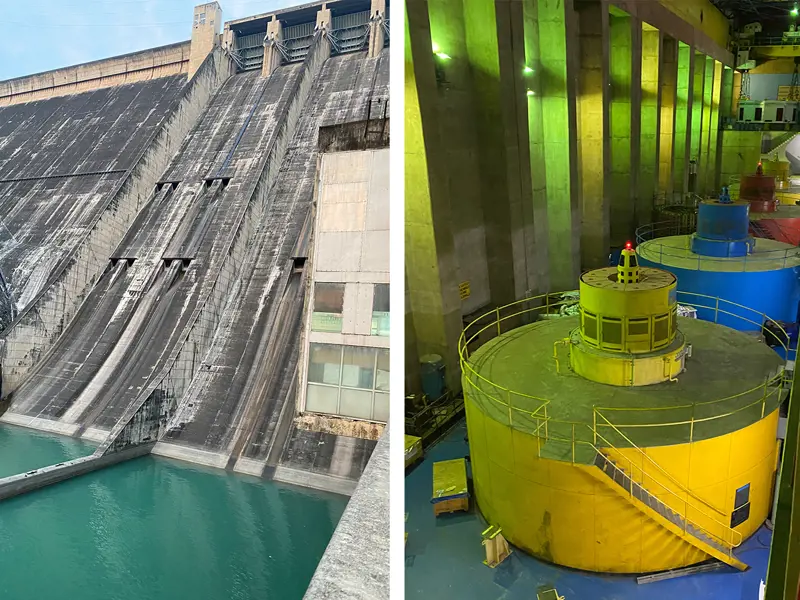 social-responsibility